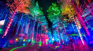 Electric Forest Lights