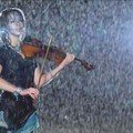 Animale Lindsey Stirling