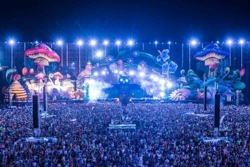 EDC NY