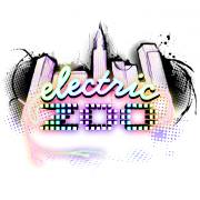 Electric Zoo NY