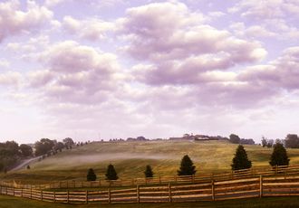 mysteryland-rolling-hills