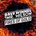 Fires of Gold Remix