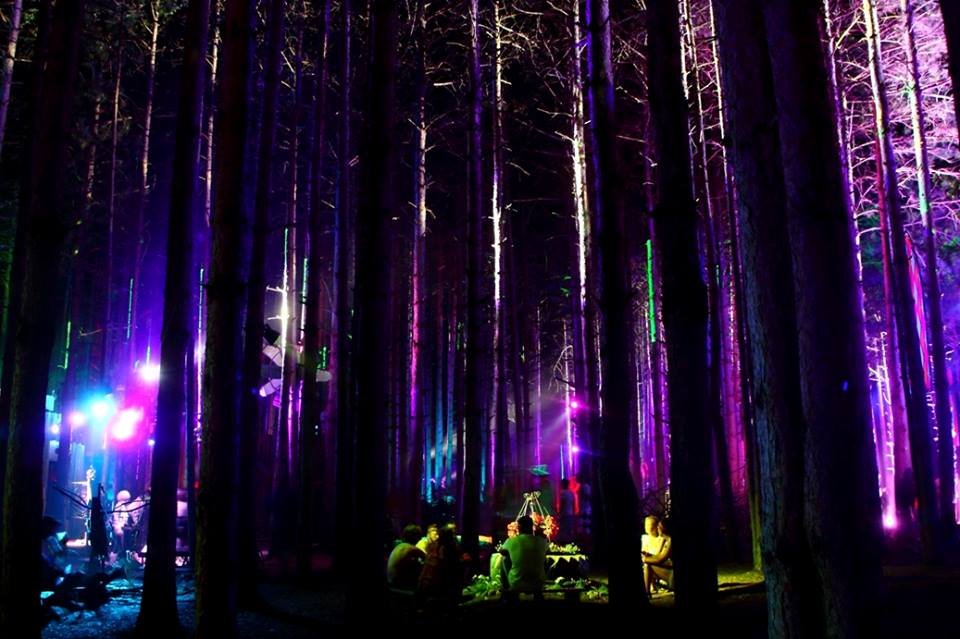 Electric Forest 2014