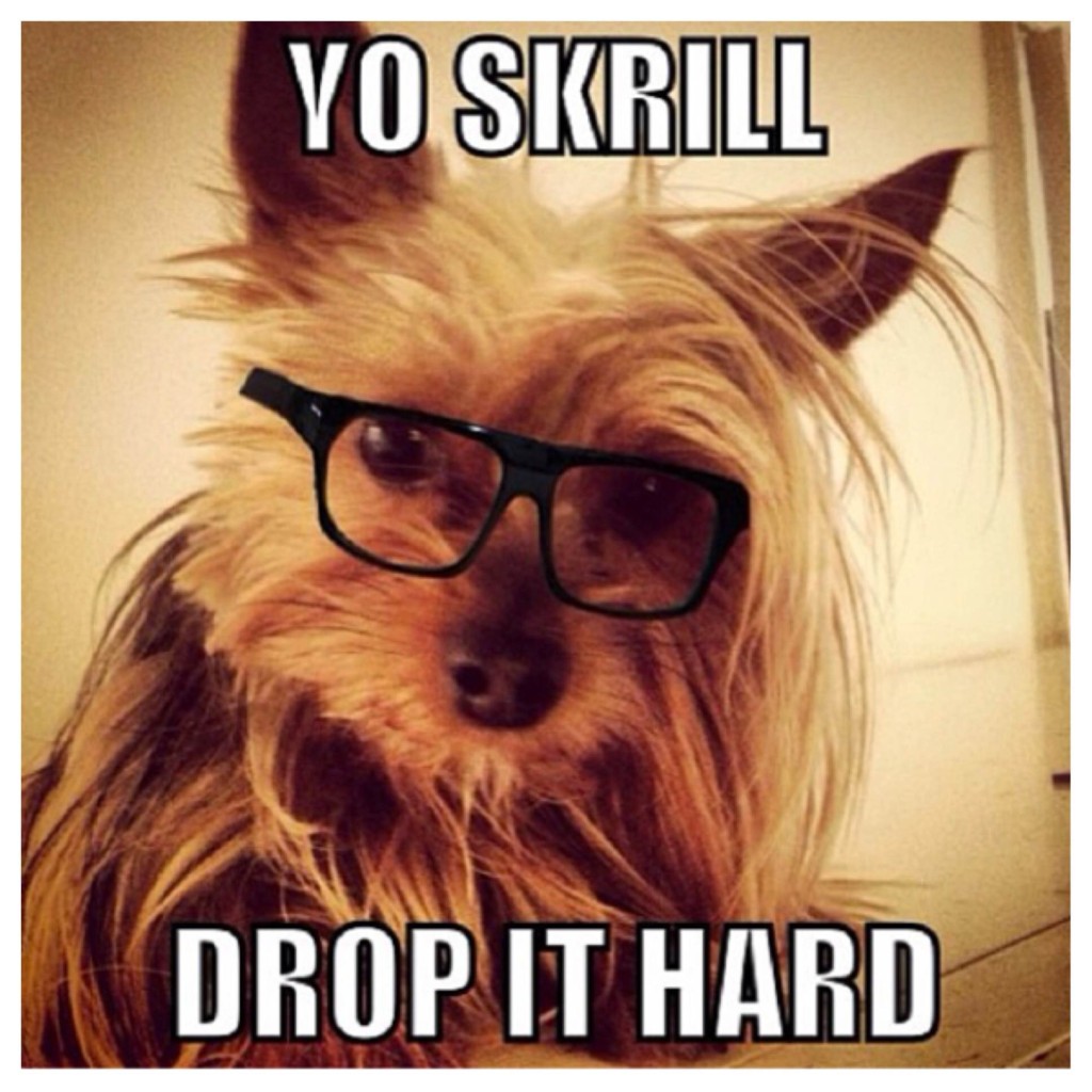 Skrillex Dog