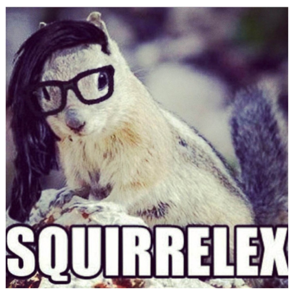 Squirrelex