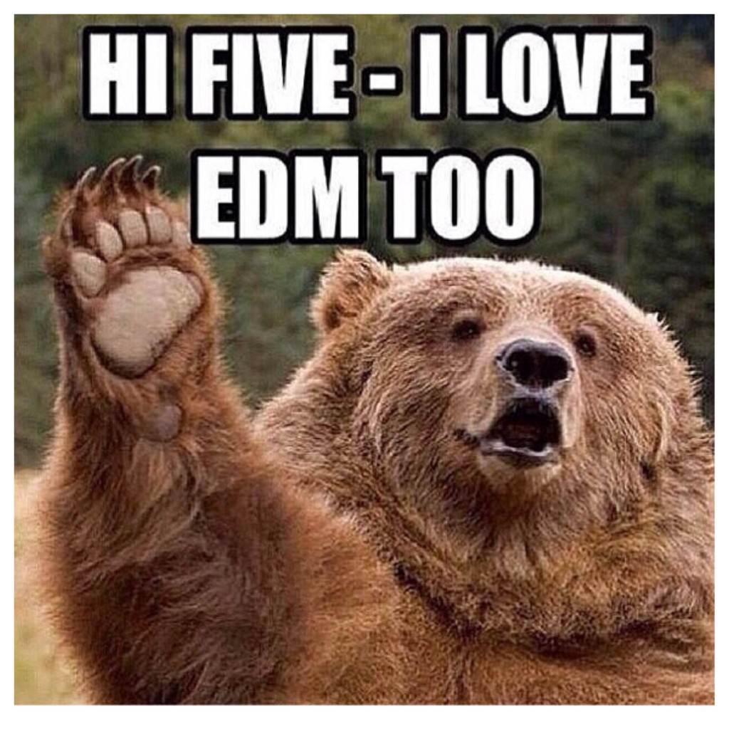 EDM Bear