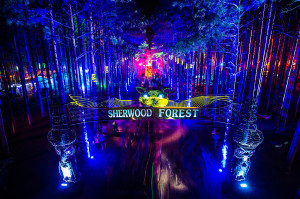 Electric Forest 2014