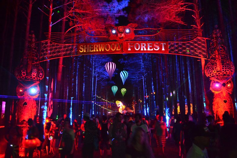 Electric Forest