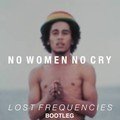 Bob Marley Lost Frequencies No Woman No Cry