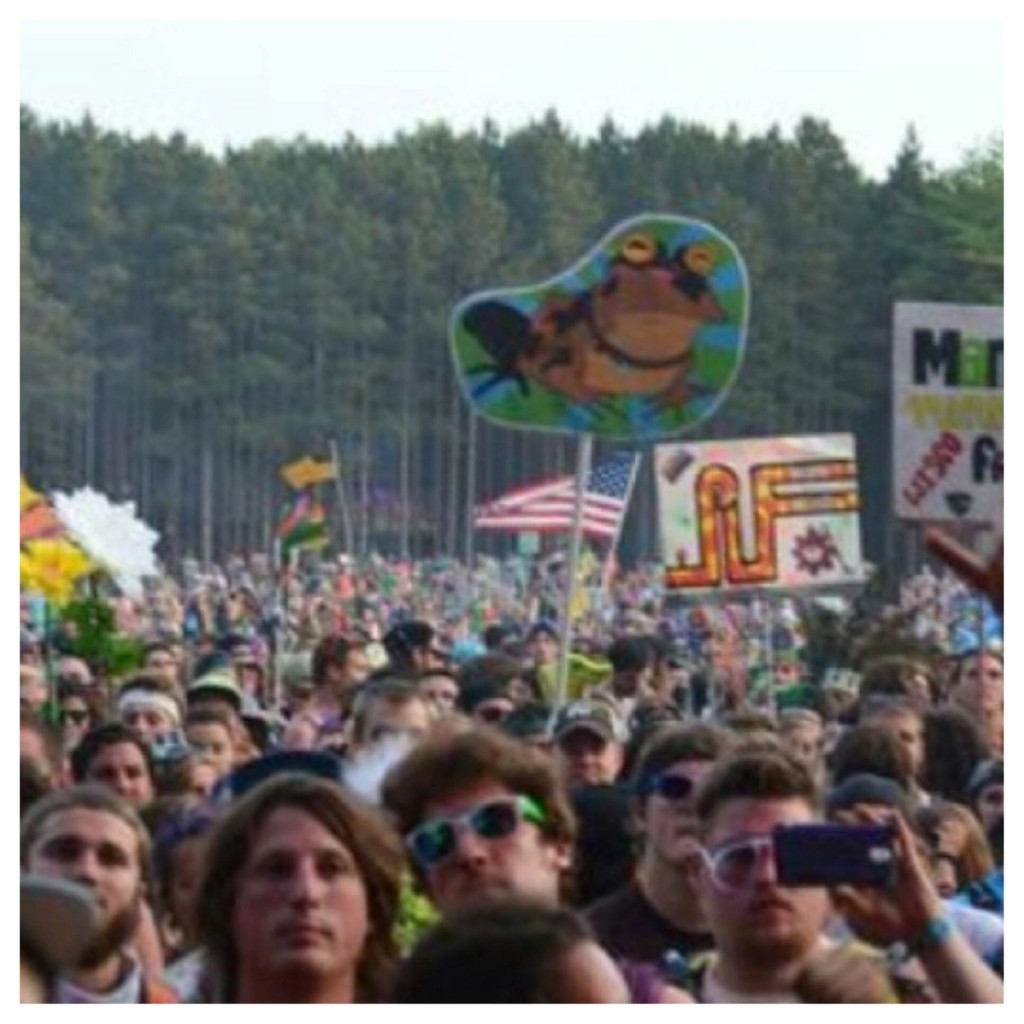 Hypnotoad Electric Forest