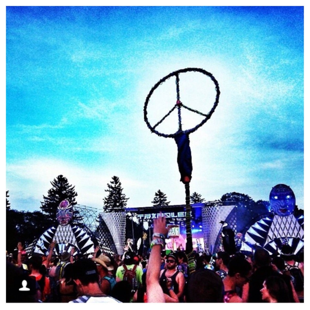 Peace Electric Forest 2014