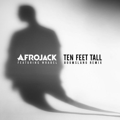 boomslang afrojack ten feet tall remix