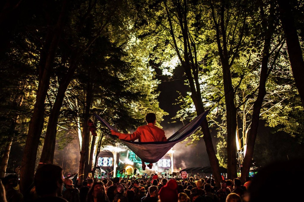 electric forest 2014