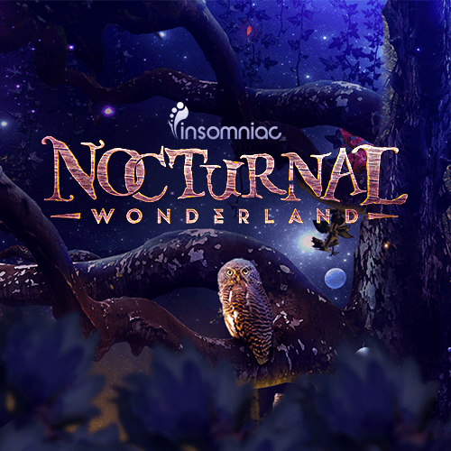 insomniac events nocturnal wonderland