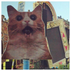 music festival totems