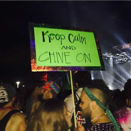 edm festival totems