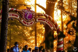 tomorrowworld 2014 event review