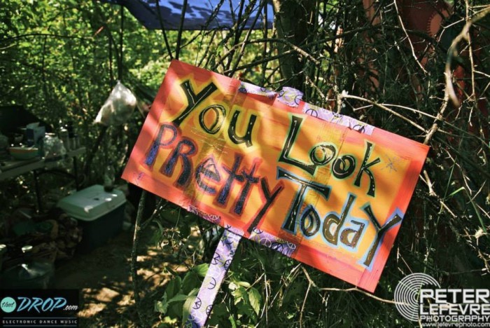 music festival totem