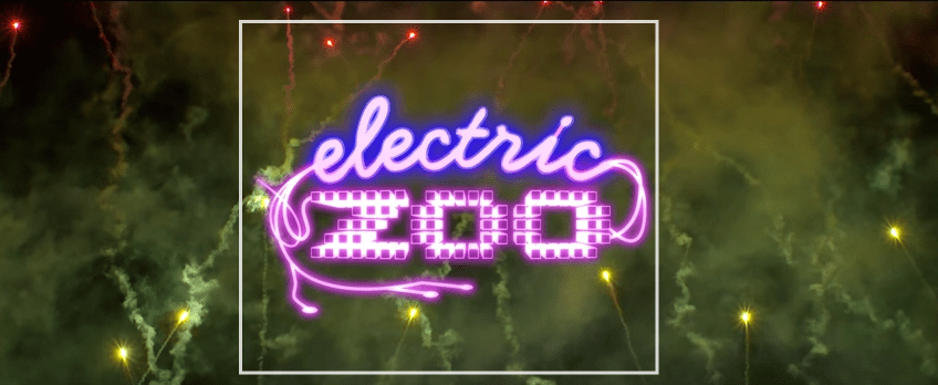 electric zoo 2014