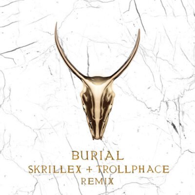 burial skrillex & trollphace remix