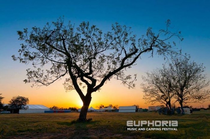 music festival sunsets