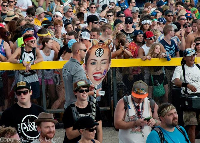 music festival totems