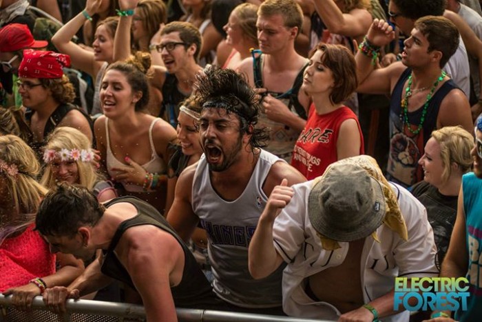 music festival crowd shots