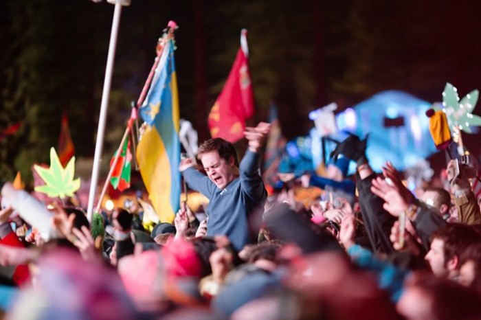 music festival crowd shots