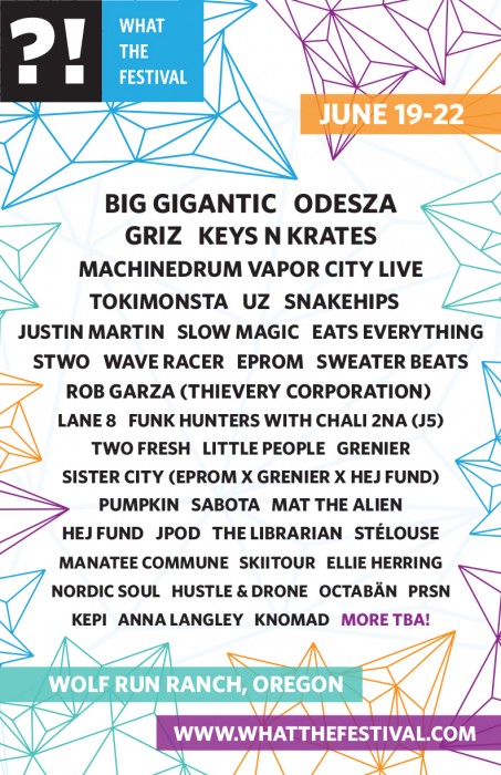 What The Festival Lineup | WTF 2015 