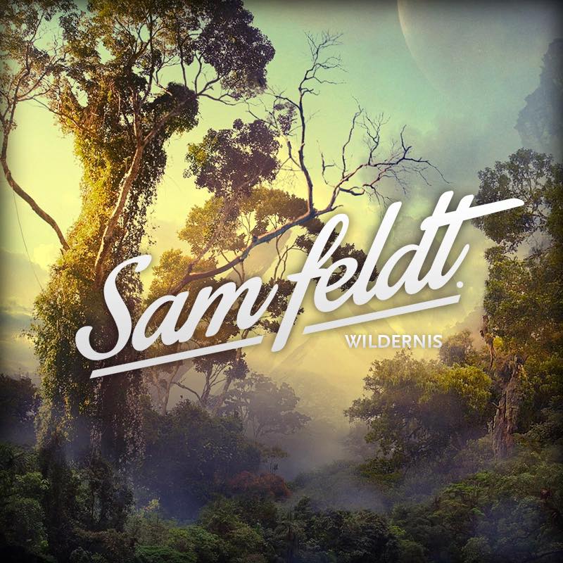 Sam Feldt Releases Vibe Filled Mixtape Wildernis