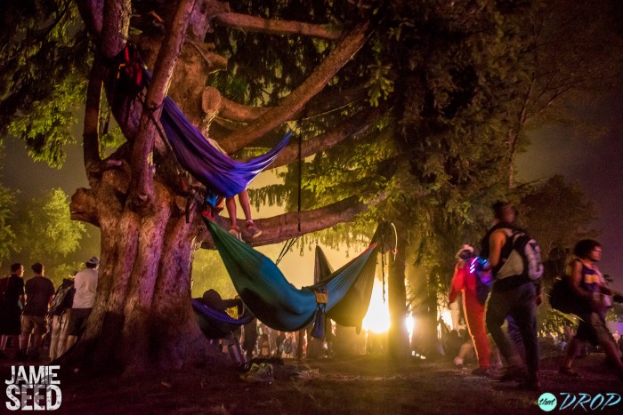 Capturing Electric Forest: 117 Incredible Photos from Electric Forest 2015