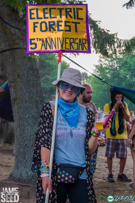 Electric Forest 2015 Totems