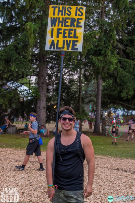 Electric Forest 2015 Totems