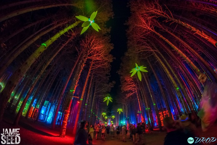 Capturing Electric Forest: 117 Incredible Photos from Electric Forest 2015