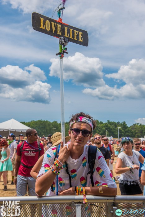 Electric Forest 2015 Totems