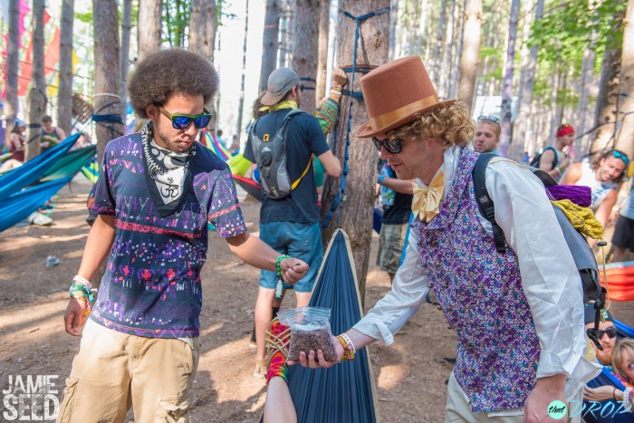 Capturing Electric Forest: 117 Incredible Photos from Electric Forest 2015