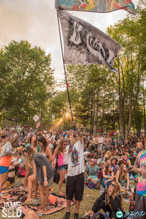 Electric Forest 2015 Totems