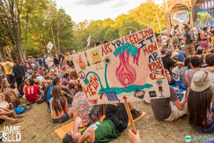 Electric Forest 2015 Totems