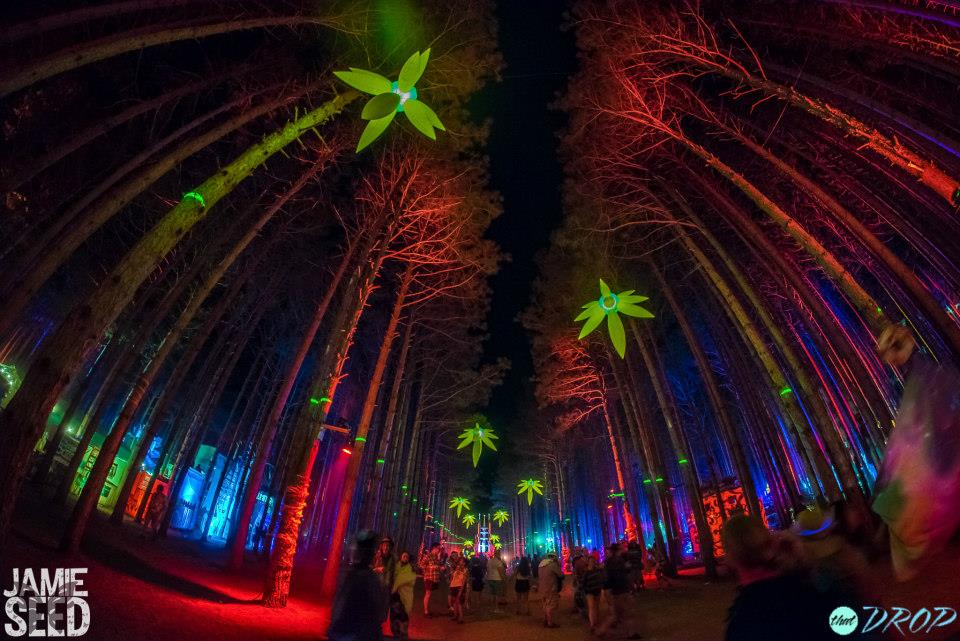 Sights from the Forest 10 Photos of Electric Forest's Epic Art