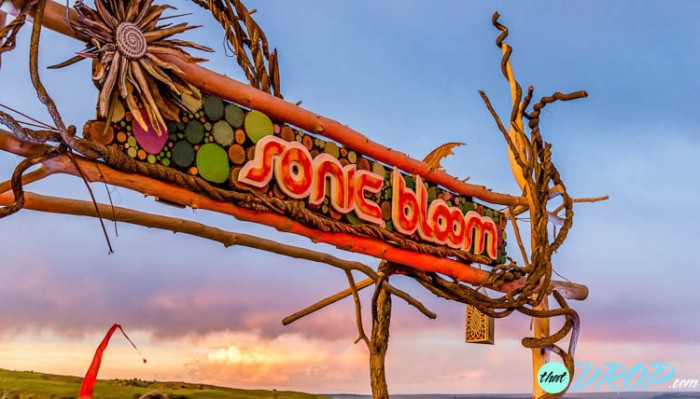 Reliving the Moment: 130 Stunning Photos from Sonic Bloom 2015