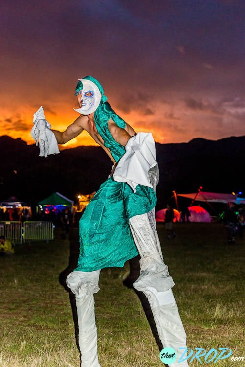 Reliving the Moment: 130 Stunning Photos from Sonic Bloom 2015