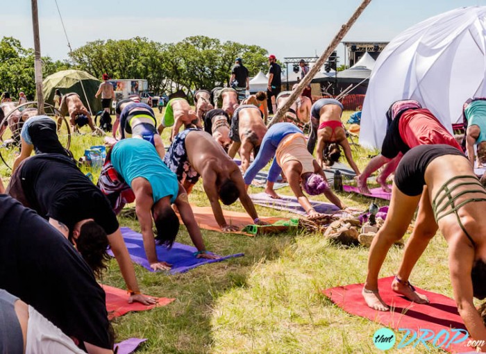 Reliving the Moment: 130 Stunning Photos from Sonic Bloom 2015