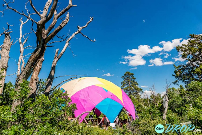 Reliving the Moment: 130 Stunning Photos from Sonic Bloom 2015