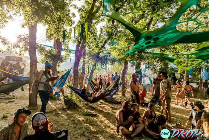 Reliving the Moment: 130 Stunning Photos from Sonic Bloom 2015