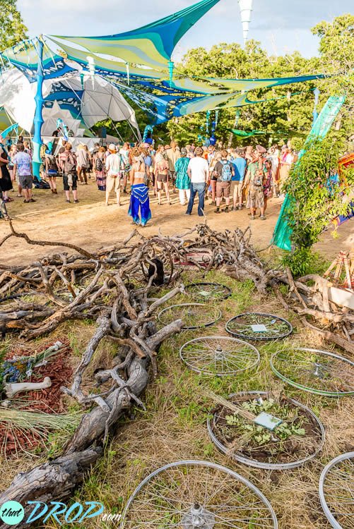 Reliving the Moment: 130 Stunning Photos from Sonic Bloom 2015