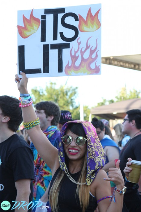 Dancefestopia Music Festival Pictures