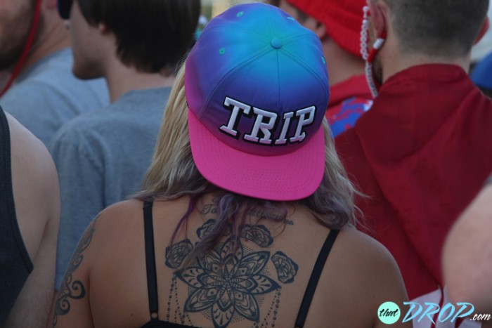 Dancefestopia Music Festival Pictures