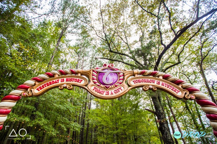 TomorrowWorld 2015 Photos & Pictures