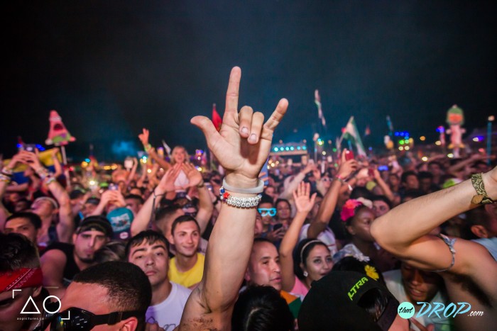 TomorrowWorld 2015 Photos & Pictures