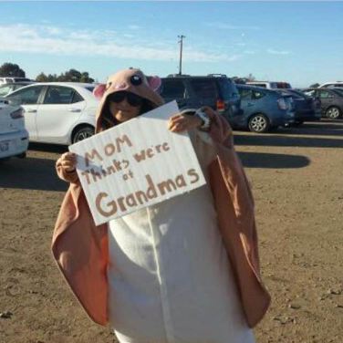 Festival Totems